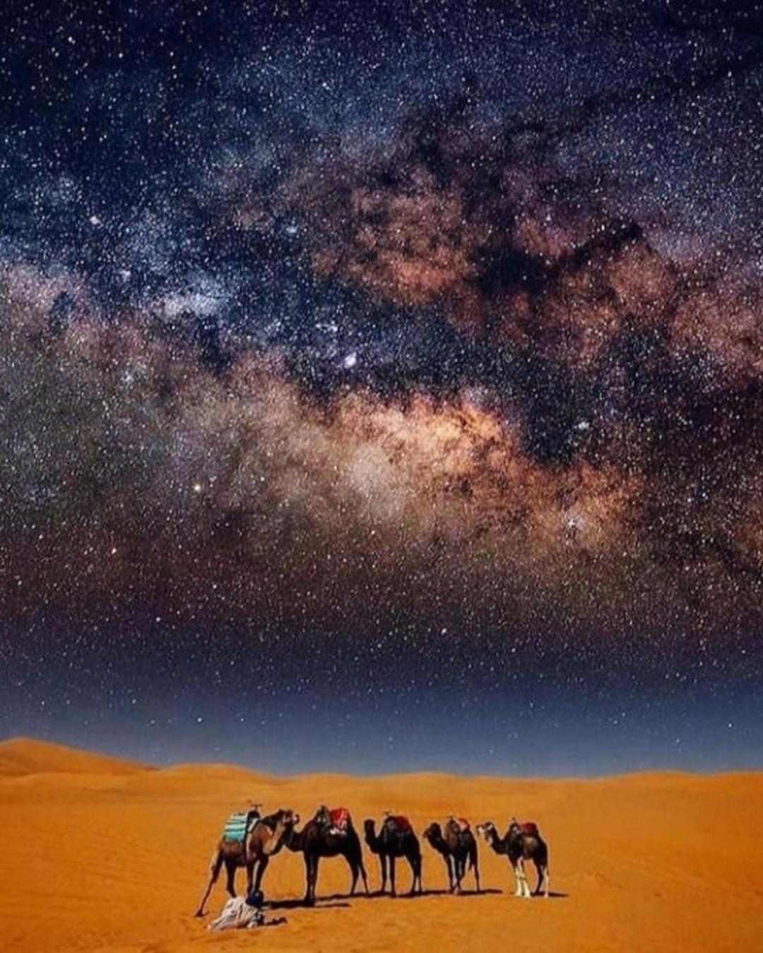Overnight Desert Camp Merzouga Buitenkant foto